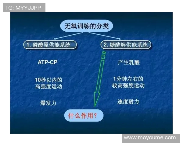 深圳羽毛球队的耐力训练与比赛表现分析探讨 深圳羽毛球队的耐力训练与比赛表现分析探讨