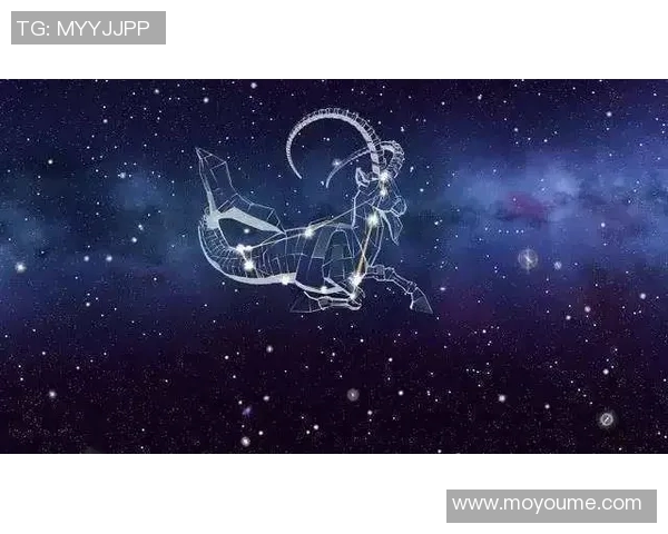 十二星座中谁是足球明星的代表星座揭秘与分析